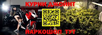 индика Гагарин