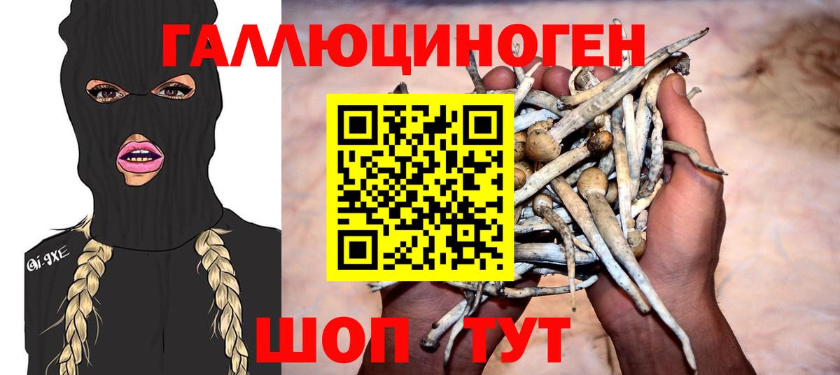 Галлюциногенные грибы MAGIC MUSHROOMS  Вход с VPN  магазин  наркотиков  Губкин 