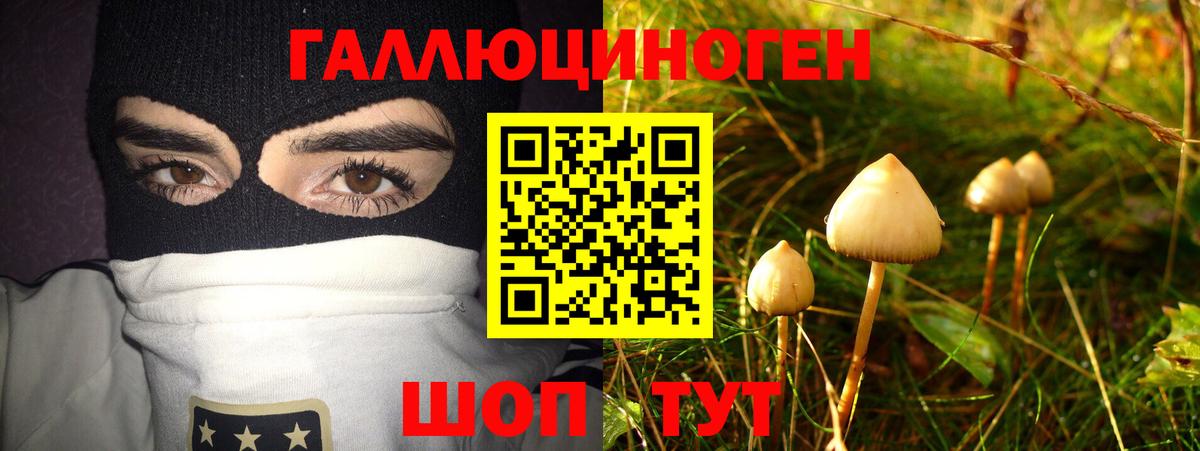 Псилоцибиновые грибы GOLDEN TEACHER Губкин
